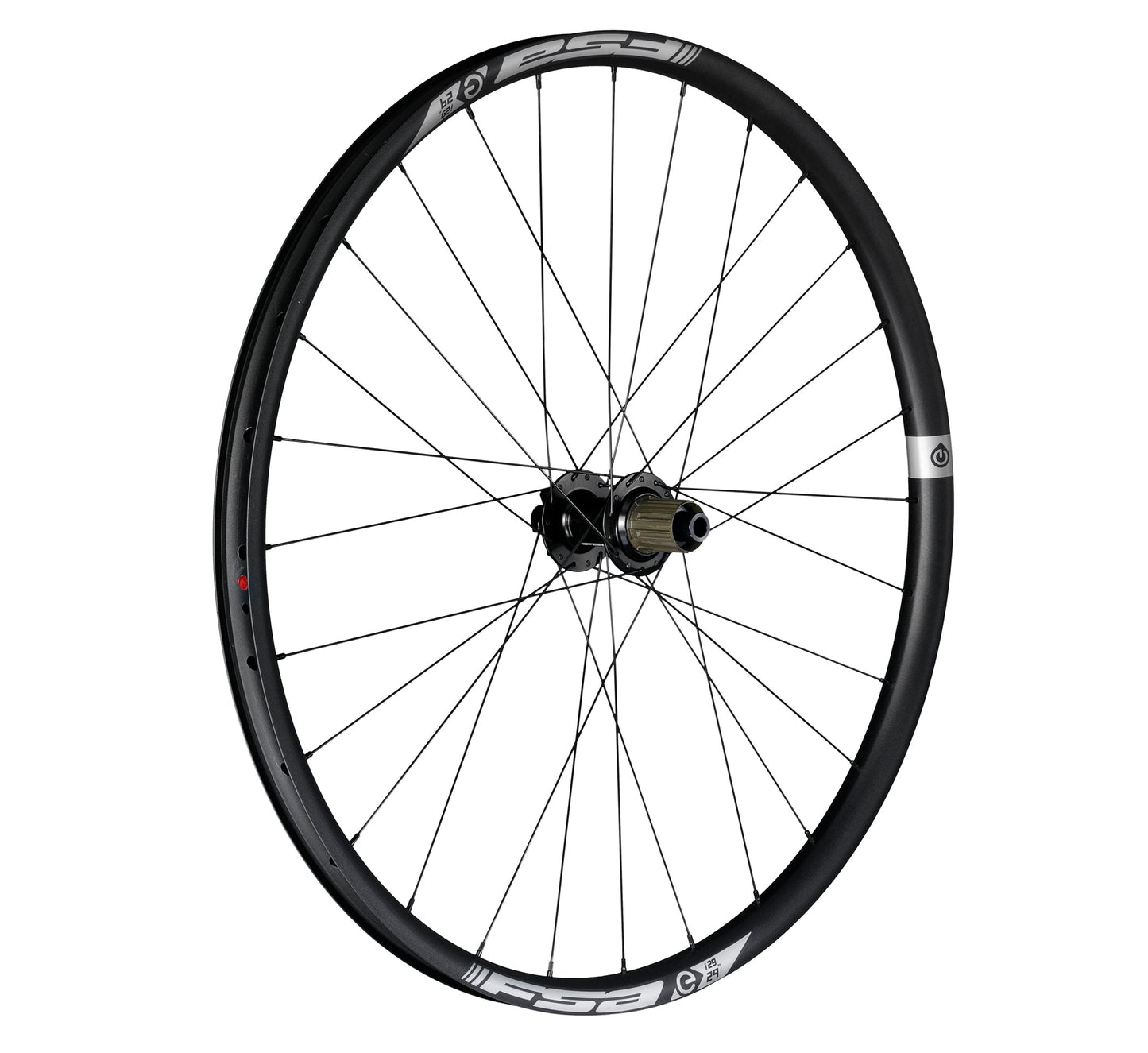 FSA eMTB Boost Alloy Wheel