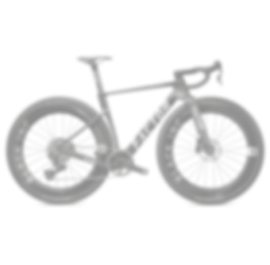 Factor Elara Premium Package Carbon Gravel Bike Frameset