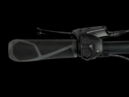 Trek Verve+ 1 Aluminum 8 Speed Lowstep LT Active E-Bike
